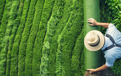 Agro y tecnología: una combinación para el futuro