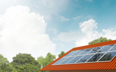 ¿Por qué implementar paneles solares en el campo?